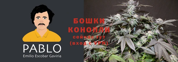 эйфоретик Арсеньев