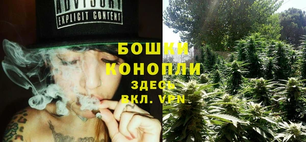 эйфоретик Арсеньев