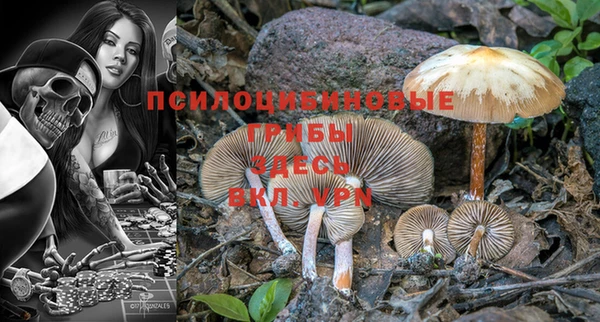 MDMA Premium VHQ Армянск
